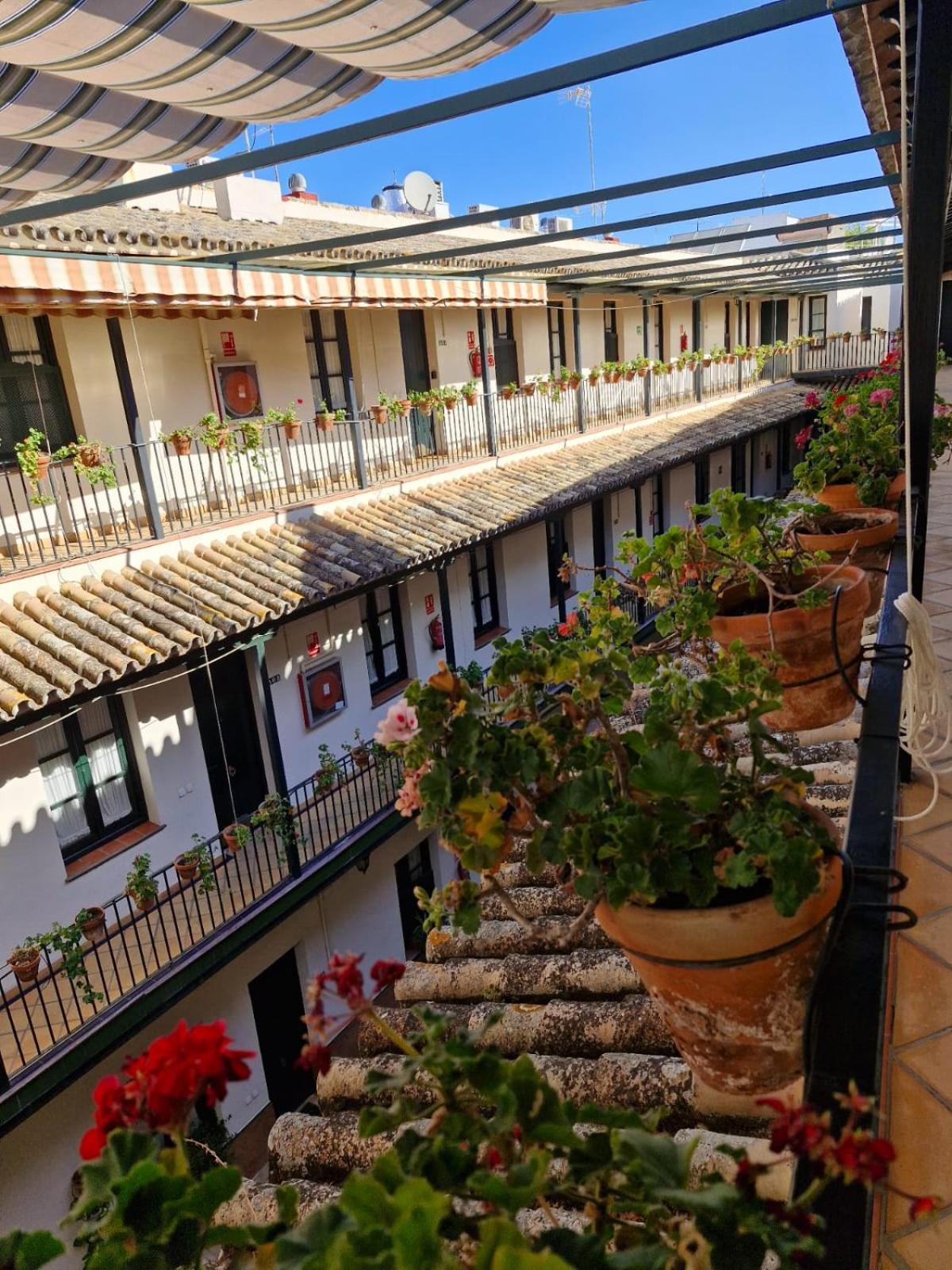 Patio Cartuja Apartment Sevilla Bagian luar foto