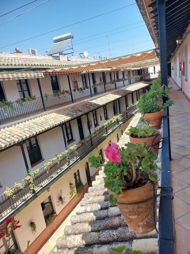 Patio Cartuja Apartment Sevilla Bagian luar foto
